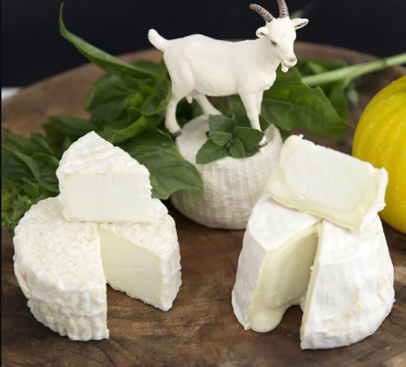 Prednosti kozjeg sira za tijelo